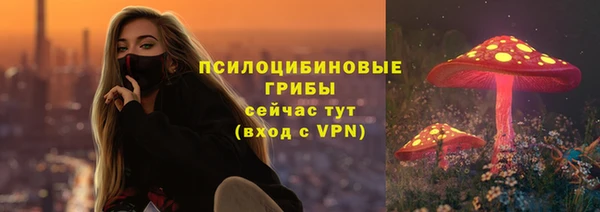 mdpv Армянск