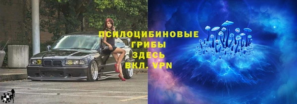 дурь Аркадак
